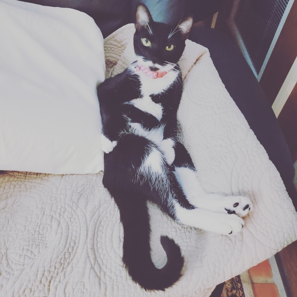 Meet your Posher, Susan - Picture 6 of 16